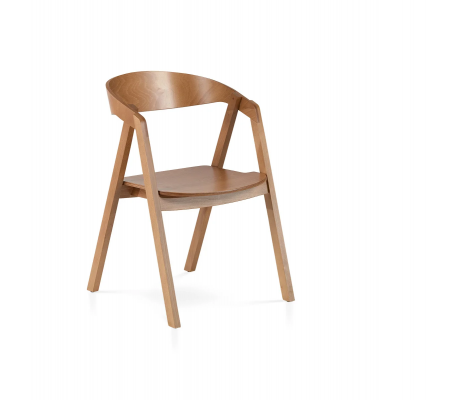 IAN καρεκλοπολυθρόνα