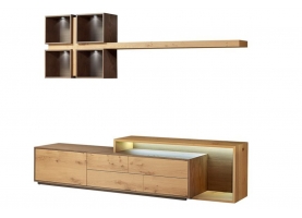 FLEXY Σύνθεση Τηλεόρασης