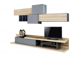 FOREST Σύνθεση Τηλεόρασης